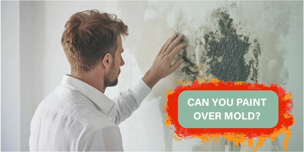 Can You Paint Over Mold?