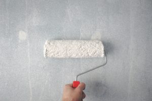 Roll primer wall paint