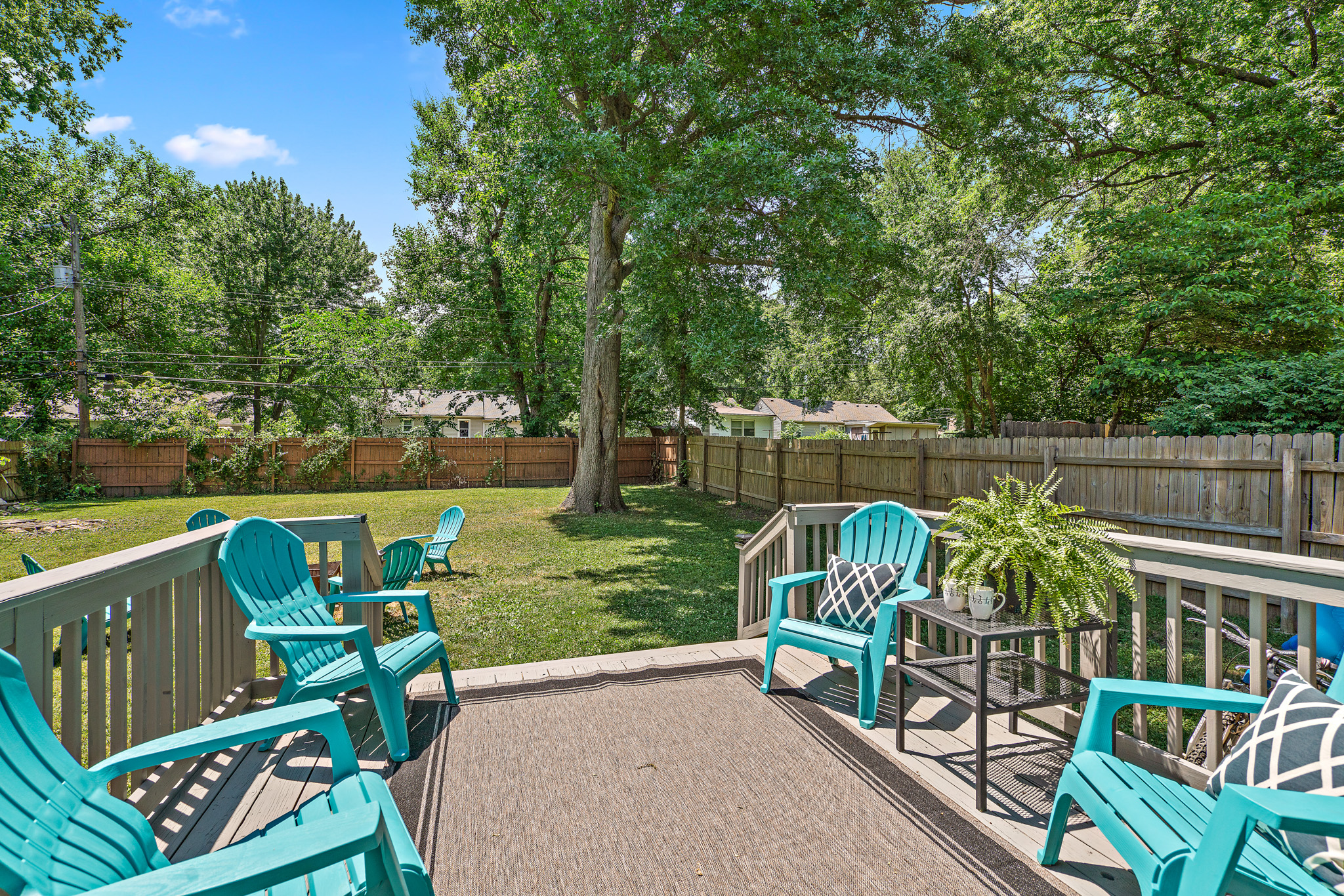 Fence and Deck stain