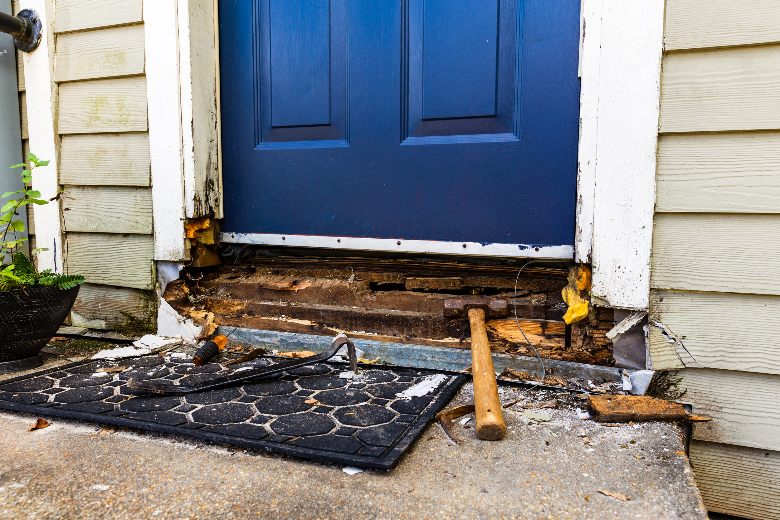 Wood Rot Overland Park