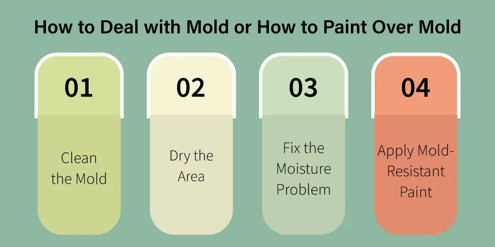 How to Deal with Mold or How to Paint Over Mold