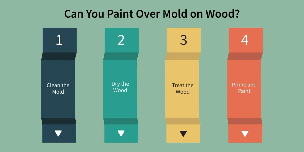 paint-over-mold-on-wood