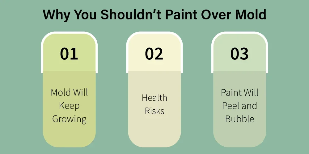 Why You Shouldn’t Paint Over Mold