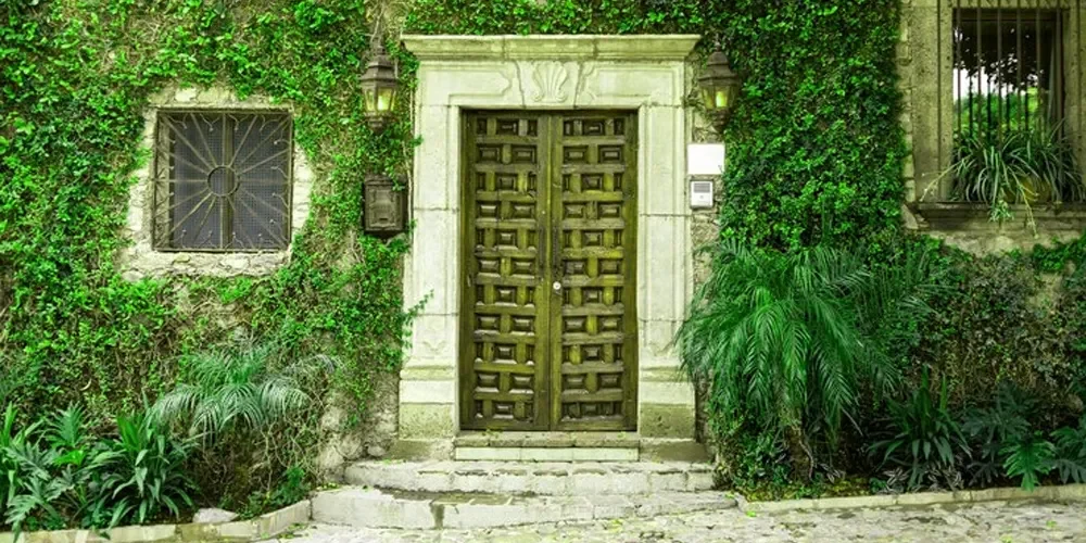 Wood Front Doors